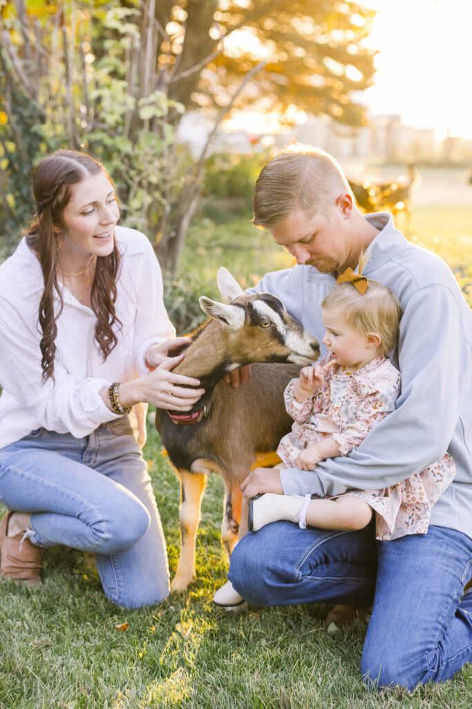 mom and dad and daughter pet a goat on goat farm in Montana