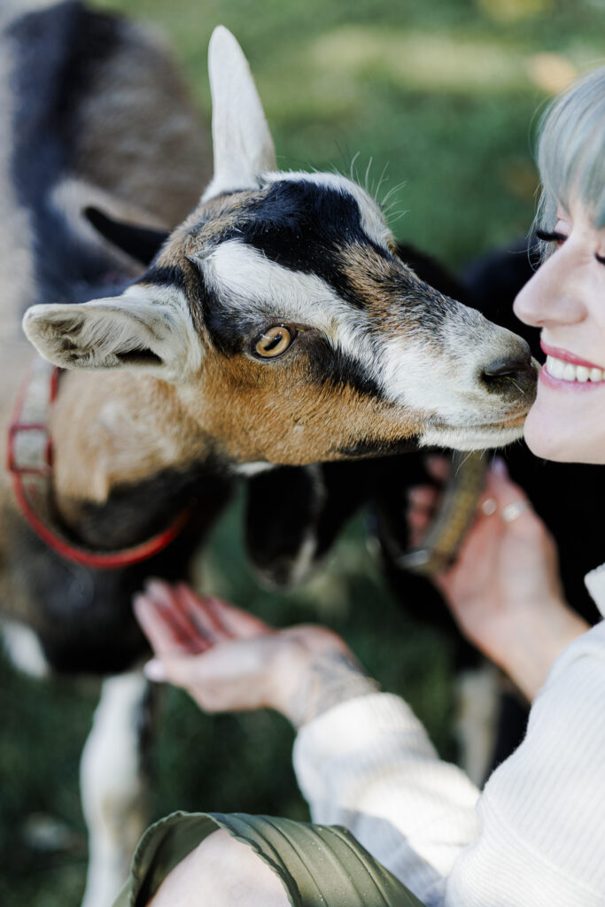 Young goat sniffing woman at goat farm in Montana