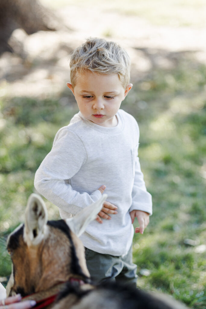 Toddler boy with goat on goat farm in Montana