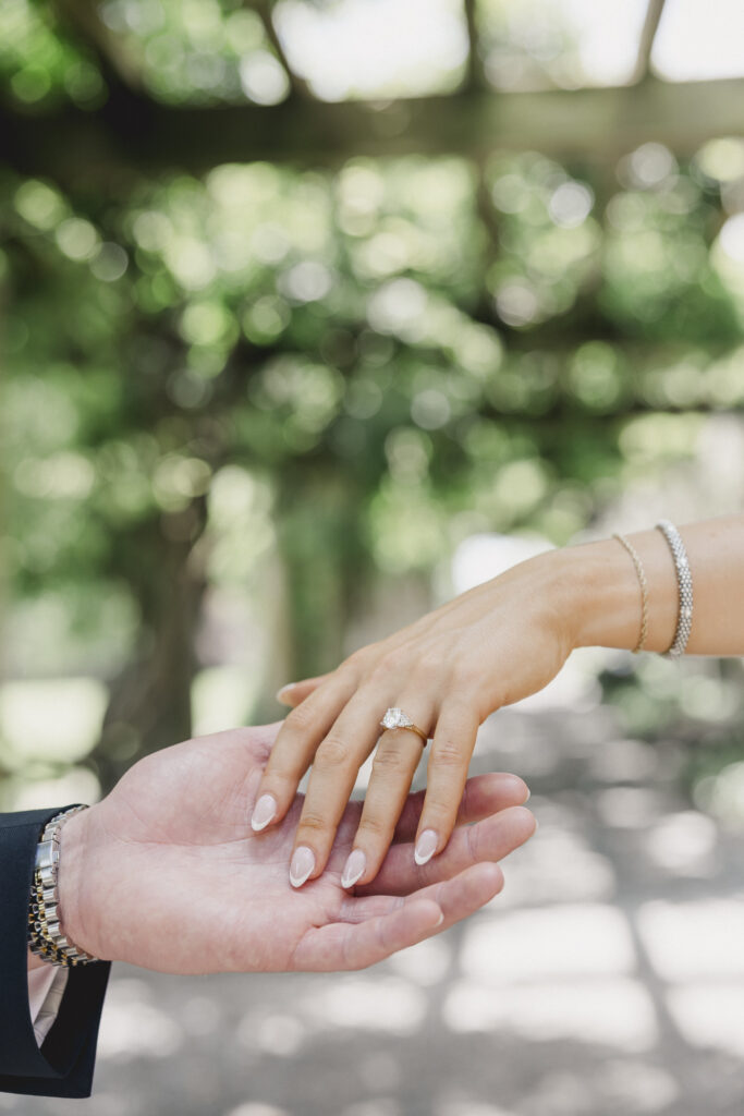 Engagement photos at the Biltmore Estate with black tulle dress and black tux. Black tie engagement photos