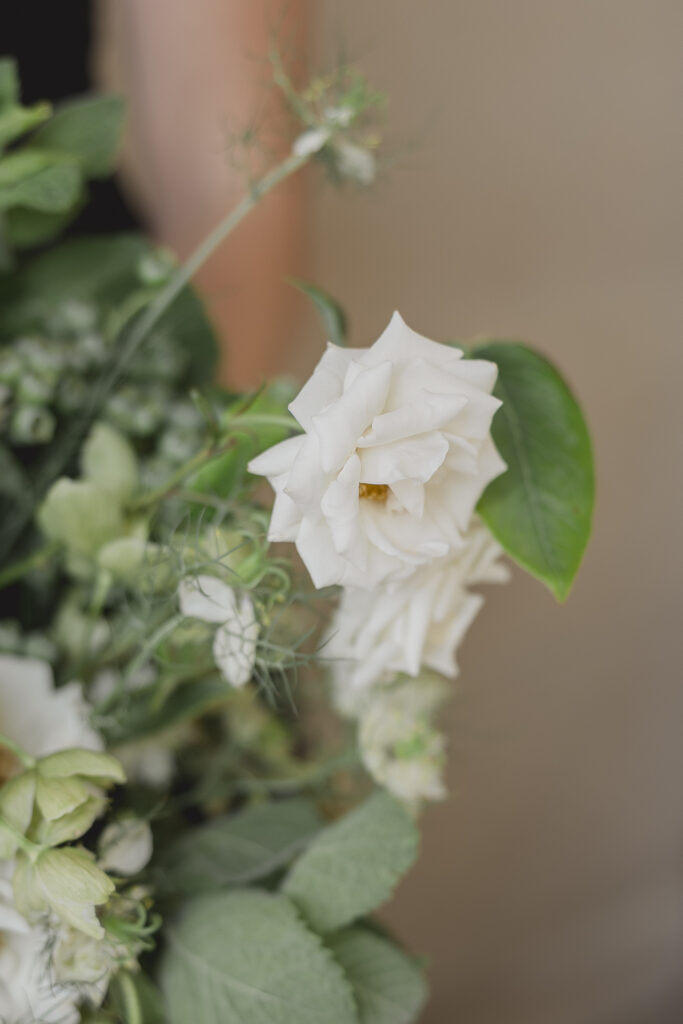 Black tie Engagement photo session at the Biltmore with black tulle dress. Rachel Deneroy Designs white floral bouquet using blueberries and mint at the Biltmore Estate.