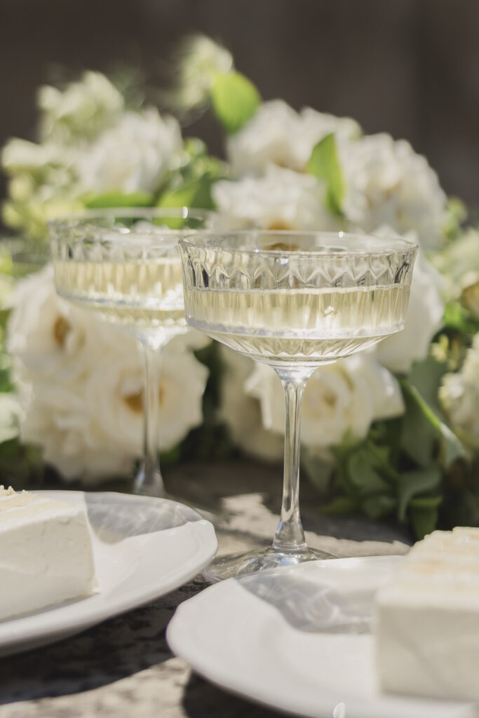 Black tie Engagement photo session at the Biltmore with black tulle dress and black tux and champagne toast